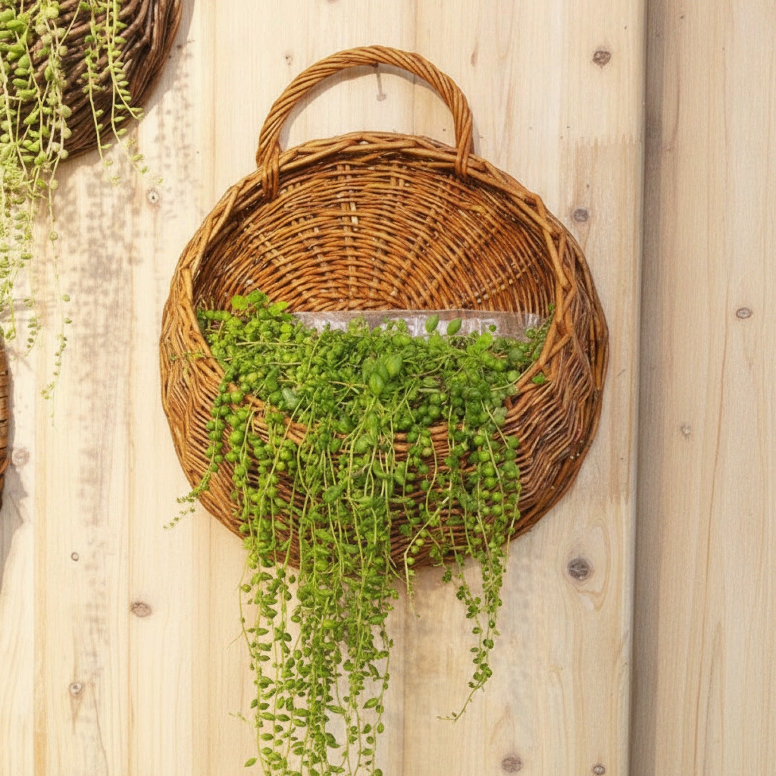 Jardinière murale en rotin et osier - Panier suspendu pour plantes