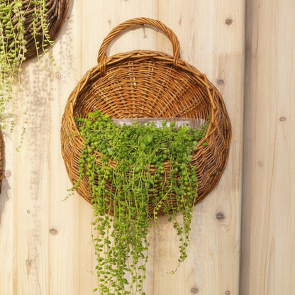 Jardinière murale en rotin et osier - Panier suspendu pour plantes